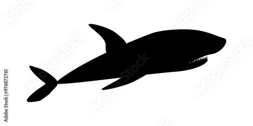 Black silhouette of shark, sea animal. Vector illustration, icon