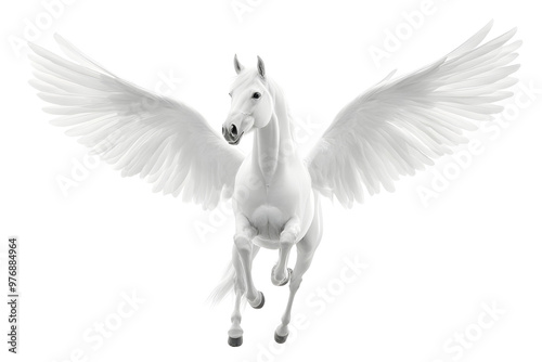 Detailed illustration of a white pegasus, a mythical horse, isolated on a white background