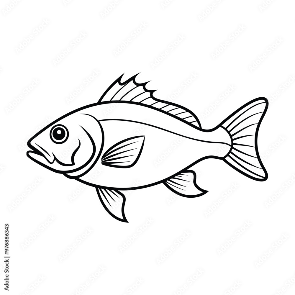 sea-fish vector illustration. sea-fish vector illustration.