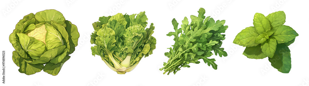 Assorted fresh salads and herbs isolated on transparent background. Realistic illustration. Healthy eating and organic produce concept. Clipart for cookbook, menu, and grocery store advertising. Assorted fresh salads and herbs isolated on transparent background. Realistic illustration. Healthy eating and organic produce concept. Clipart for cookbook, menu, and grocery store advertising.