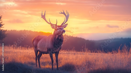 A majestic deer stands in a vibrant sunset landscape. 