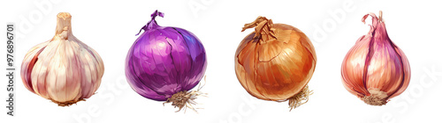 Assorted fresh vegetables isolated on transparent background. Realistic illustration. Healthy eating and organic produce concept. Clipart for cookbook, menu, and grocery store advertising.