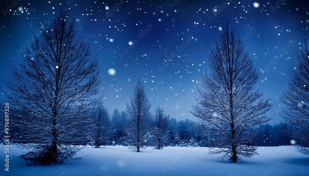 Snowy night with silhouette trees Snowy night with silhouette trees