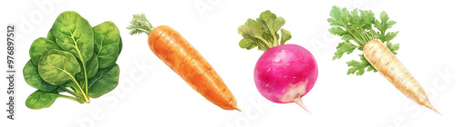 Assorted fresh vegetables isolated on transparent background. Realistic illustration. Healthy eating and organic produce concept. Clipart for cookbook, menu, and grocery store advertising.