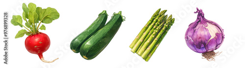 Assorted fresh vegetables isolated on transparent background. Realistic illustration. Healthy eating and organic produce concept. Clipart for cookbook, menu, and grocery store advertising.