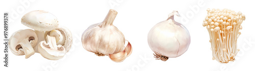 Assorted white fresh vegetables isolated on transparent background. Realistic illustration. Healthy eating and organic produce concept. Clipart for cookbook, menu, and grocery store advertising.