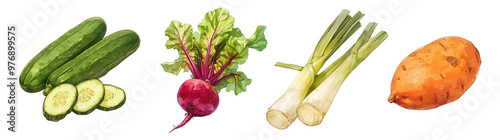 Assorted fresh vegetables isolated on transparent background. Realistic illustration. Healthy eating and organic produce concept. Clipart for cookbook, menu, and grocery store advertising.