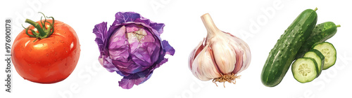 Assorted fresh vegetables isolated on transparent background. Realistic illustration. Healthy eating and organic produce concept. Clipart for cookbook, menu, and grocery store advertising.