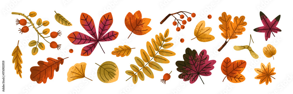 Fall leaf set. Autumn leaves, branches, rowan berries, foliage. Forest decorations. Natural design elements bundle. Botanical floral collection. Flat vector illustration isolated on white background