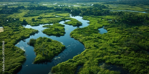 river delta rich with vegetation