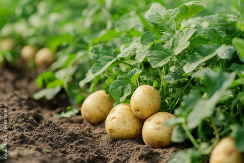 Happy person gathering harvest bounty fall summer season, farmland marsh garden Generative AI