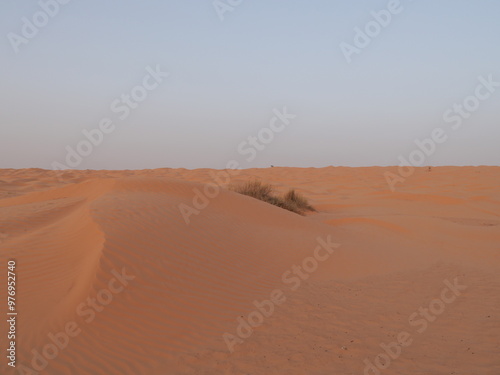 Fototapeta Naklejka Na Ścianę i Meble -  Dune, désert