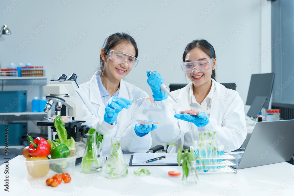 Two Asian women in a lab work on food research, using a microscope, petri dish, and test tubes filled with chemical solutions. They study vegetables, pork, and plants for GMO traits and nutrition. Two Asian women in a lab work on food research, using a microscope, petri dish, and test tubes filled with chemical solutions. They study vegetables, pork, and plants for GMO traits and nutrition.