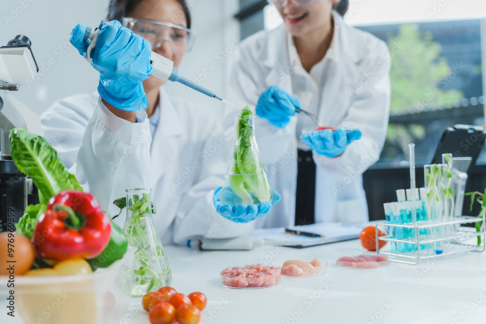 Fototapeta premium Two Asian women in a lab work on food research, using a microscope, petri dish, and test tubes filled with chemical solutions. They study vegetables, pork, and plants for GMO traits and nutrition.