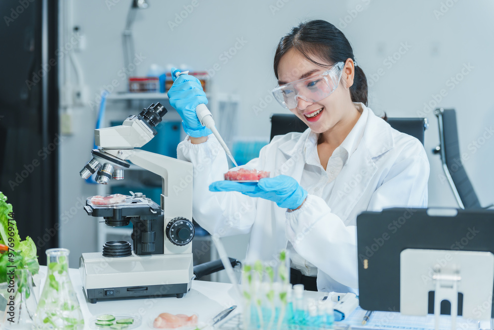 Two Asian women in a lab work on food research, using a microscope, petri dish, and test tubes filled with chemical solutions. They study vegetables, pork, and plants for GMO traits and nutrition. Two Asian women in a lab work on food research, using a microscope, petri dish, and test tubes filled with chemical solutions. They study vegetables, pork, and plants for GMO traits and nutrition.