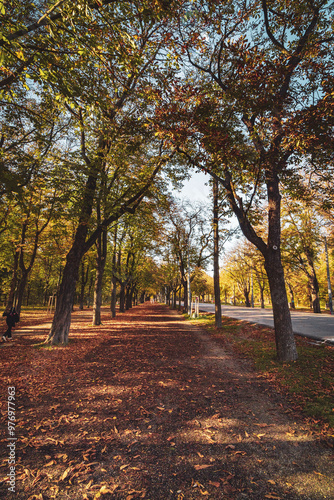 Photography autumn in the prater park in vienna