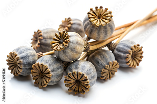 Close-up of textured poppy seed pods on a white background