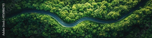 A winding road through lush green landscapes viewed from above