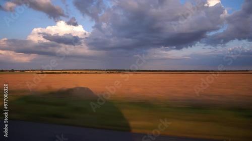 The shadow of the car moves across the yellow wheat field. Clouds hover over the field. Beautiful view from a window of a moving car on a meadow with grass. 
