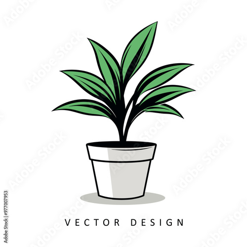 house plant minimalist vector design isolated illustration