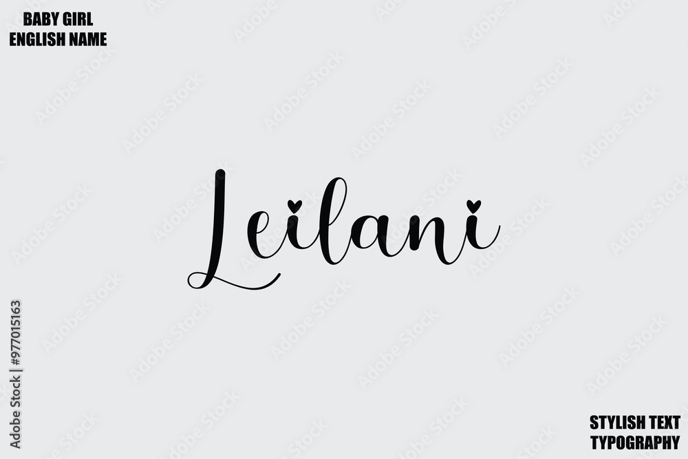 Leilani Woman's Name Hand Drawn Lettering Vector Cursive Text Typography Leilani Woman's Name Hand Drawn Lettering Vector Cursive Text Typography