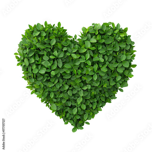 Green heart shaped bush symbolizing love and nature