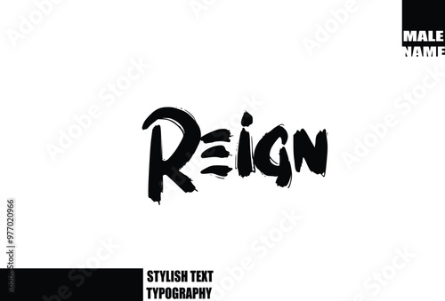 Bold Grunge And Rough Brush Text Typography Of Baby Boy Name Reign