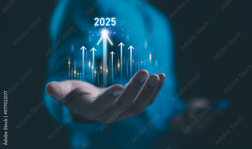 2024 to 2025 business growth strategic investment capital, goal of success, stock market. Company comprehensive plan budget, trend for year. Analyzing financial data and market trends from 2024.