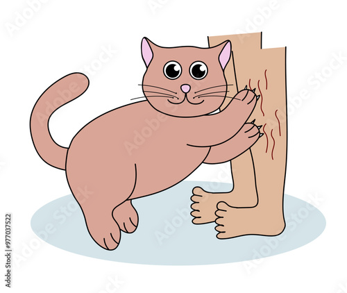 Problem with cat behavior. Kitten scratches legs. Cute hand drawn flat illustration.