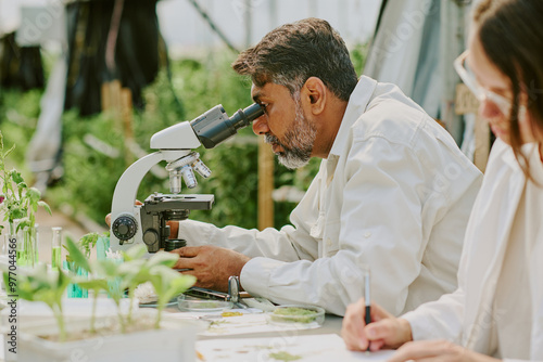 Scientist observing plant samples through a laboratory microscope in greenhouse environment. Colleague working alongside, preparing scientific materials on table