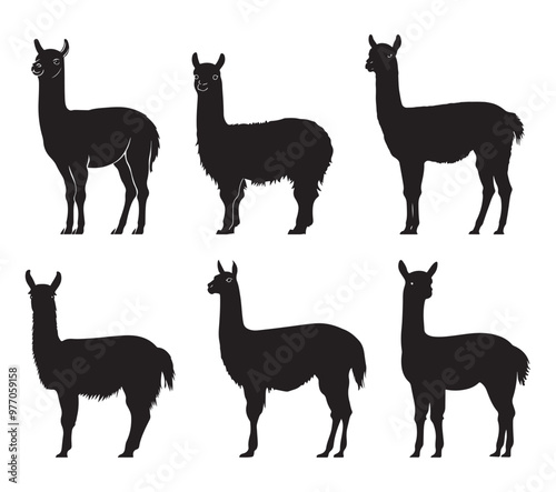 llama cartoon illustration vector design, Stylish llama silhouette set for creative artistic purposes, Llama illustration, minimalist llama vector