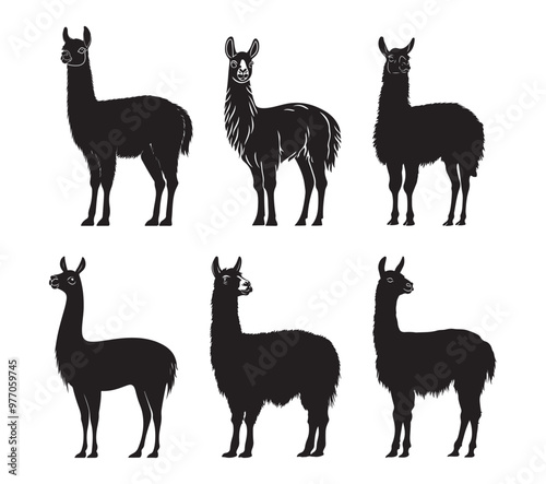 llama cartoon illustration vector design, Stylish llama silhouette set for creative artistic purposes, Llama illustration, minimalist llama vector