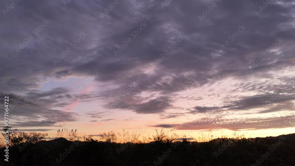 秋のススキ 夕焼け空 夕暮れ イメージ 秋のススキ 夕焼け空 夕暮れ イメージ