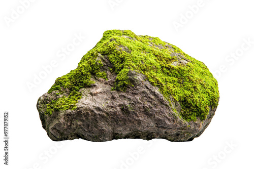 Moss covered rock showcasing nature's beauty and texture