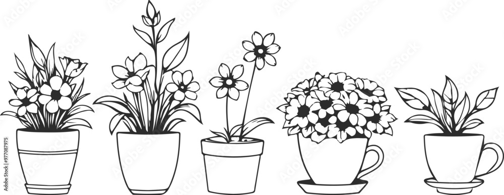Flowers in Pots Black Sketch Collection. Line Art Flowers Drawing ...