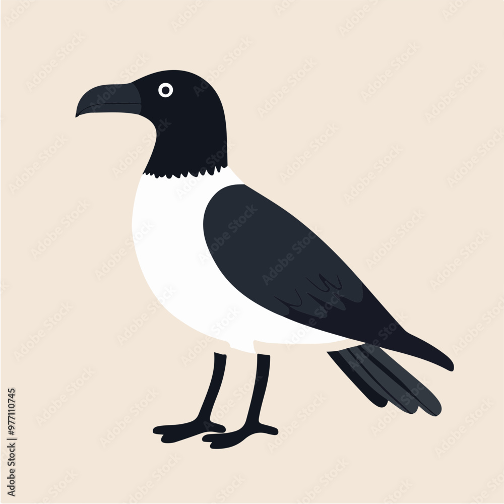 Fototapeta premium Stylized Vector Illustration of a Black and White Bird