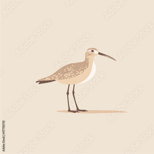 Vector Illustration of a Sandpiper Bird on Simple Background