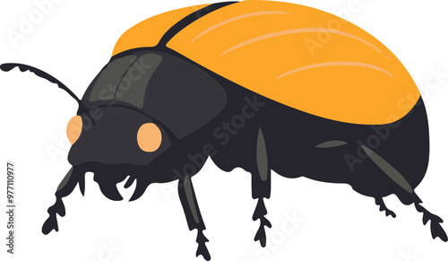 Vector Illustration of a Colorful Beetle with Orange Shell