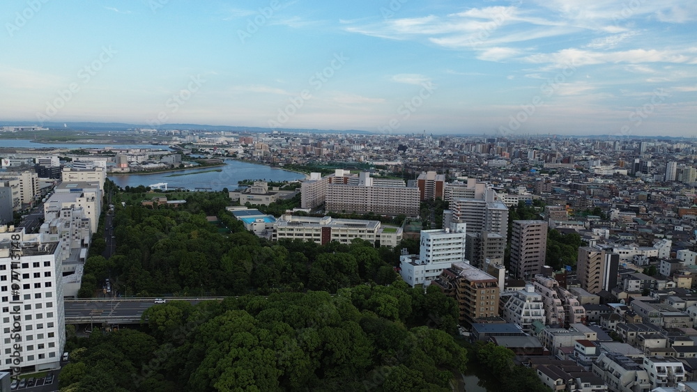Fototapeta premium Drone view of Tokyo , Japan