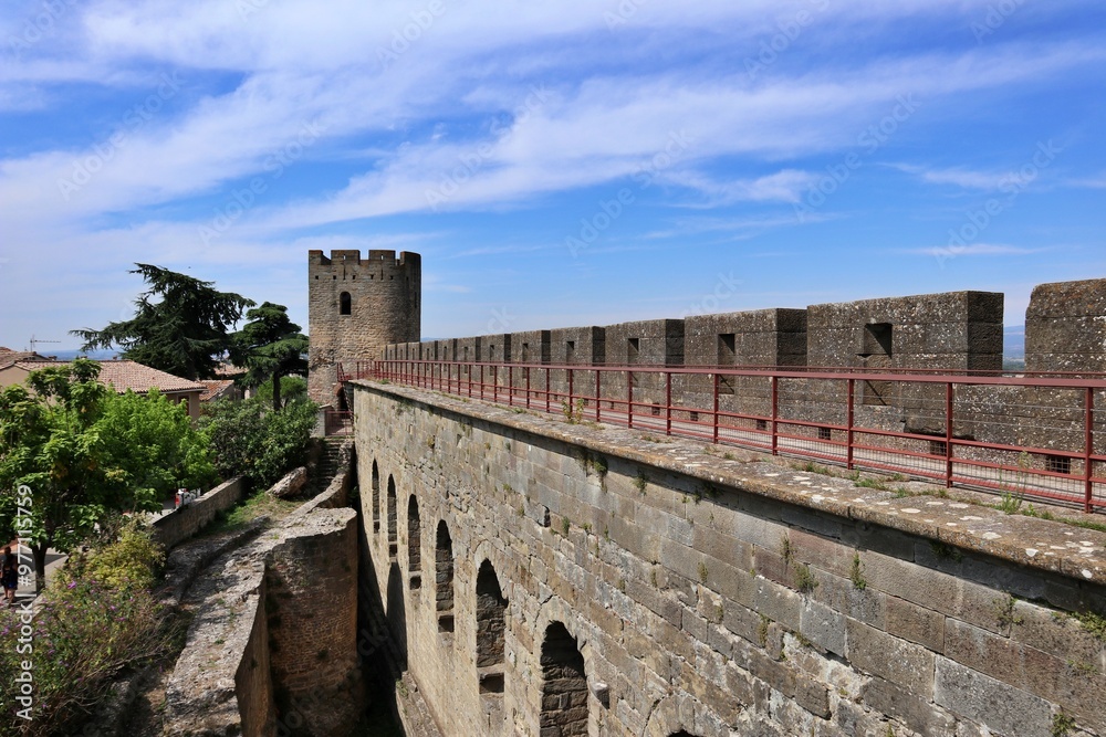 Obraz premium Wall of Carcassonne in France