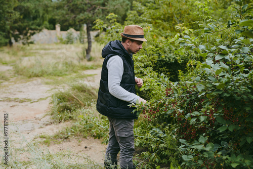 Happy family on a walk in the forest picking berries and herbs, traveling along paths and stones dad