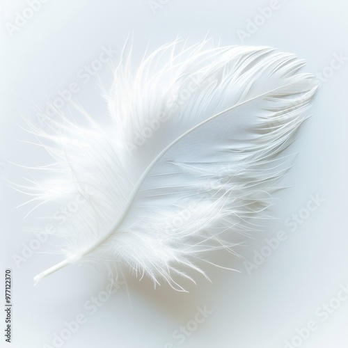 White Feather, Light As Air, Soft, Graceful, Fluffy, Single, Isolated On White Minimalist Style