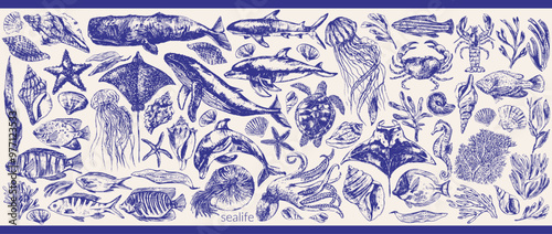 Vector sea animals illustration set. Ink sketch of whale, dolphin, shark, octopus, crab, lobster, sea horse, sea turtle, jellyfish