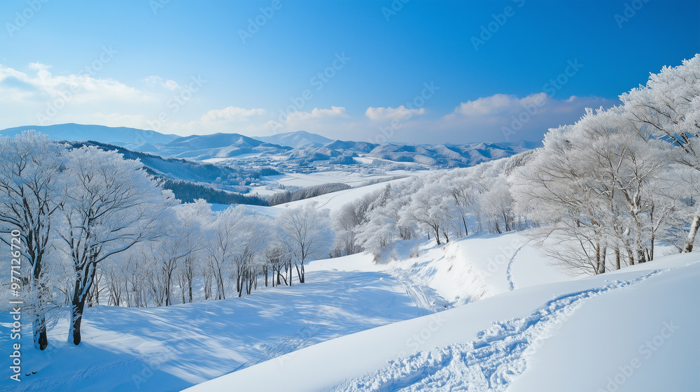 雪化粧の大分の冬景色 雪化粧の大分の冬景色