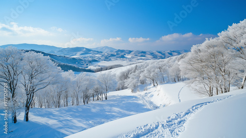 雪化粧の大分の冬景色