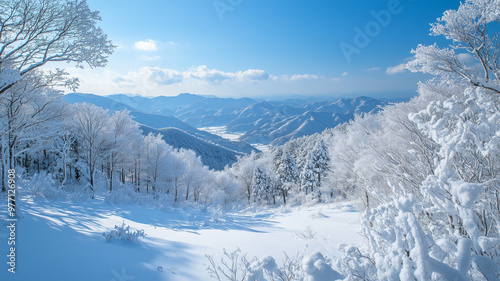 雪化粧の大分の冬景色