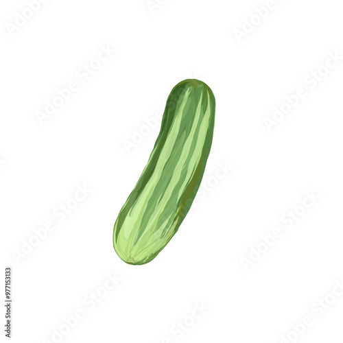 cucumber icon illustration without background