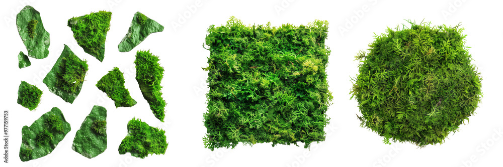 Fototapeta premium Green moss pieces on isolated transparent background