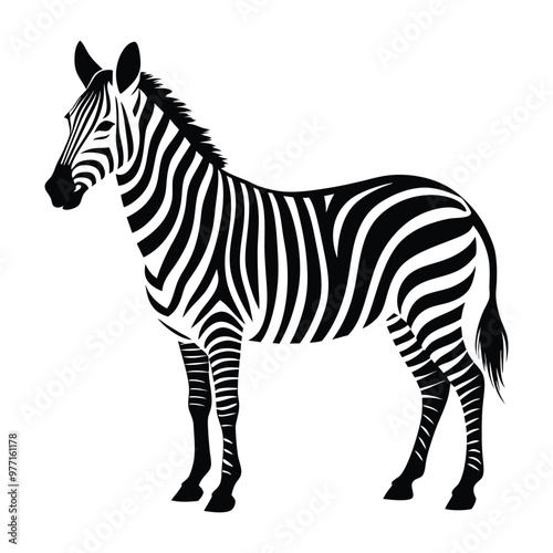 zebra animal silhouette vector isolated on a white background