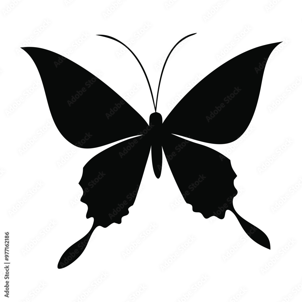 Butterfly animal silhouette vector isolated on a white background